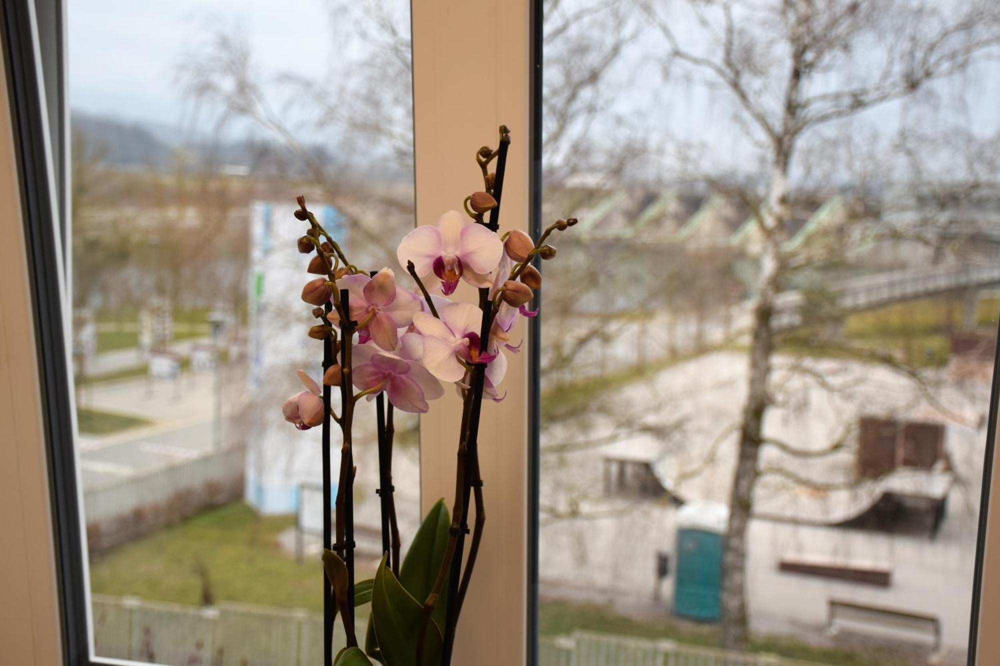 Guesthouse Pr'Sefu Brežice Cameră foto